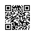 16028-469-004 Screw Set B