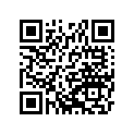 16031-3991 フロ-ト，キー