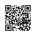 16032-KT4-671 Link Set