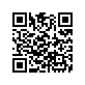 16044-ZG0-W00 CHOKESET