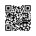 16048-KPF-961 Комплект клапана