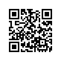 16051-MK6-671 Spring
