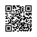 16063-001 Lever,a