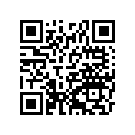 16063-002 Lever,b
