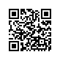 16063-010 Lever