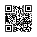 16075-GHB-B60 O ring
