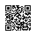 16075-K25-901 O-RING
