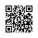 16075-K35-V01 O-RING