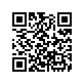 16075-ZJ1-000 O-RING