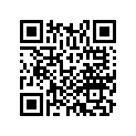 16077-K35-V01 O-ring
