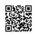 16100-13721-000 