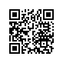 16101-300-034 Карбюратор assy