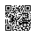 1611-032 DECAL,TUNNEL-RH