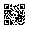 1611-101 DECAL,CONSOLE-SW