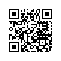 1611-111 DECAL,TUNNEL-LH