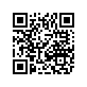1611-387 DECAL,TUNNEL-LH