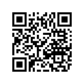 1611-627 DECAL,CAUTION-MAX PAYLOAD (FRENCH)