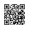 16110-148-010 Extension