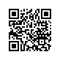 16110-428-670 Jet set, main (#110)