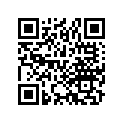 16110-437-670 Jet set, main (#95)