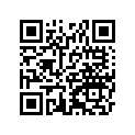161261377SP 