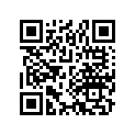16133-202-004 Жиклер игольчатый