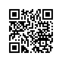 16133-259-004 Жиклер игольчатый