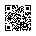 16133-275-004 Жиклер игольчатый