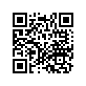 16134-MW2-900 Pince          *clip