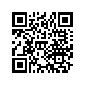 16139-286-004 Жиклер игольчатый