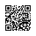 161421065 