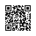 16146007517H 
