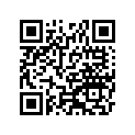 161461110HT 