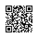 16150-ZW0-L01 SSBY-11-16150-ZW0-G11-JETSET(#42)