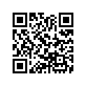 16152-862-000 ARM,THROTTLESTOP