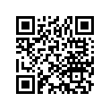 16156-551-950 O-ring