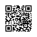 161587 GASKET