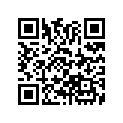 16173-260-004 O-RING(29X2.4)