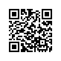 16173-ZG0-811 O-RING