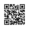 16176-286-004 O-ring 67x19
