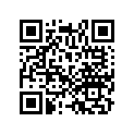 16178-ZJ0-911 O-RING