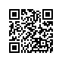 16187-1131 NEEDLE-JET,N9BB