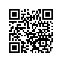 16187-S009 NEEDLE-JET