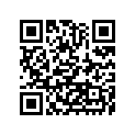 16187-S010 NEEDLE-JET