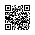 16187-S011 NEEDLE-JET
