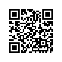 161870008 Needle-jet            (option)