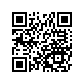 161870009 Needle-jet, 6chj11-83  (option)