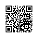 161870017 Needle-jet Nalj       (option)