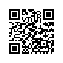 161870023 Needle-jet