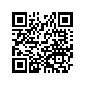 161870069 Needle-jet, Obekr      (option)